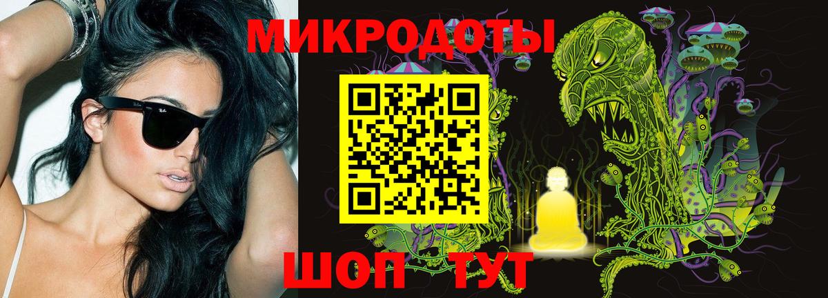 Галлюциногенные грибы Psilocybe Павловский Посад