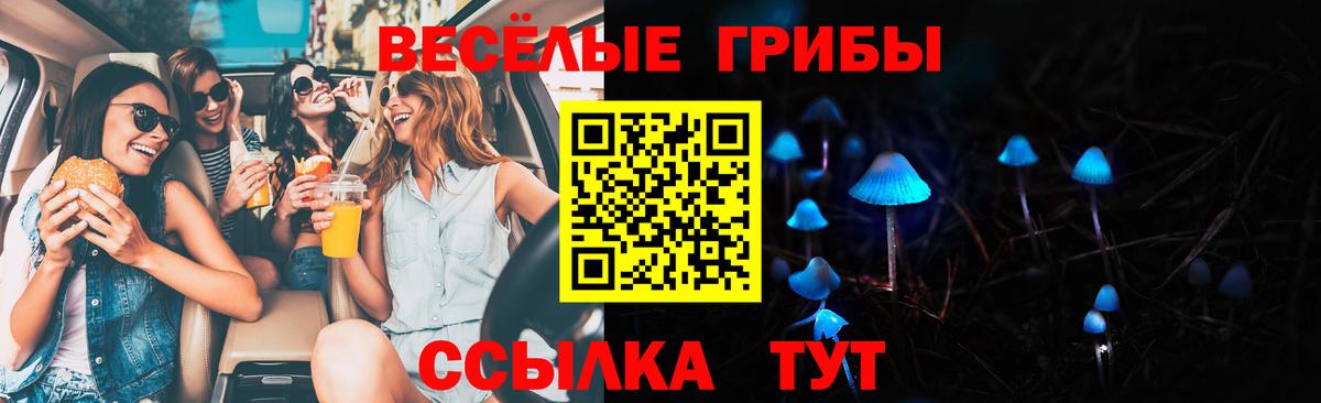Павловский Посад  Псилоцибиновые грибы Psilocybine cubensis  Вход с VPN 